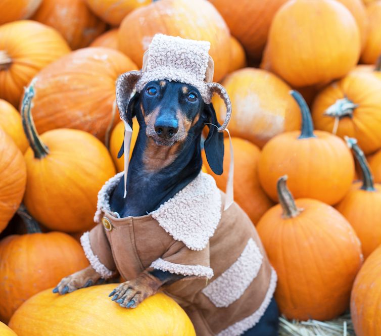 Editorial: November 18, 2022